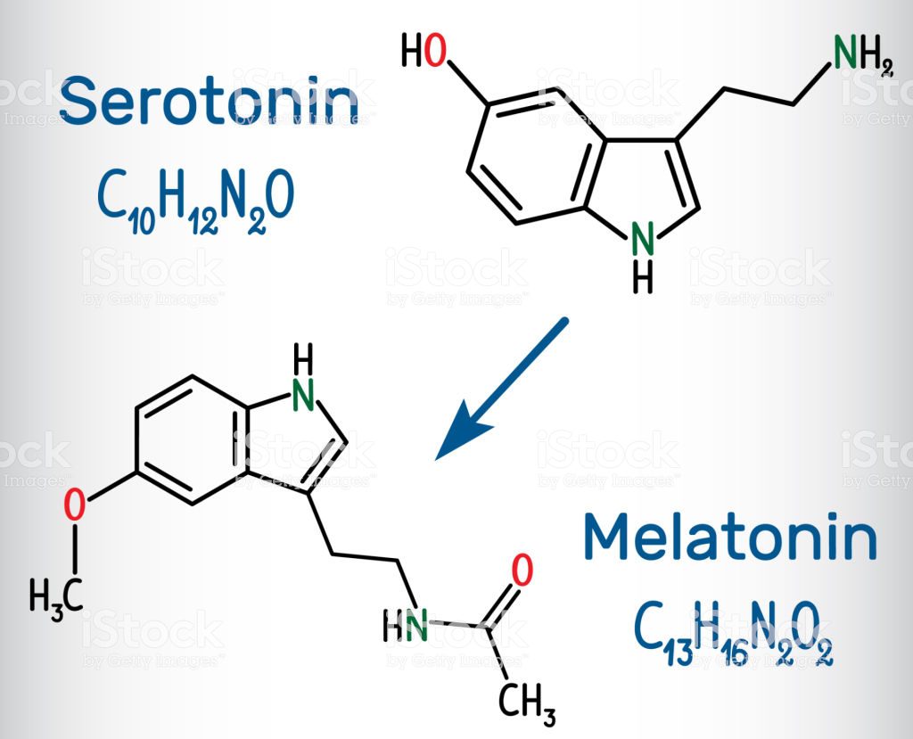 Serotonine en melatonine -Forum