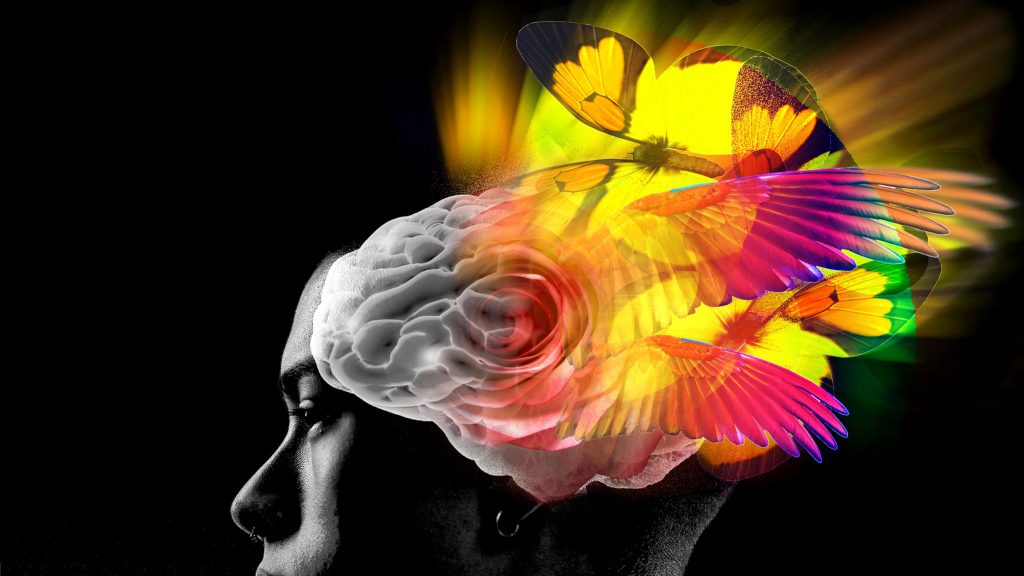 Psychedelic Vox – Das außergewöhnliche therapeutische Potenzial psychedelischer Drogen erklärt