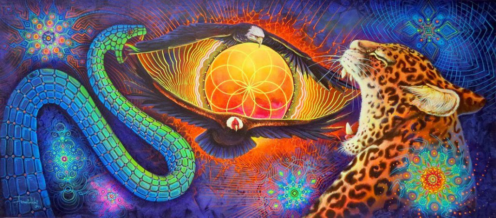 ayahuasca -Which is better? Ayahuasca ceremony or mushroom trip session?
