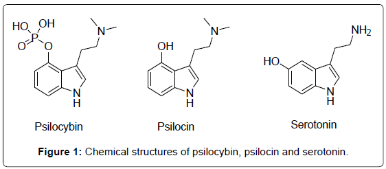 chemische structuur psilocybine psilocine en Serotonine -Psilocybine behandeling bij PTSS