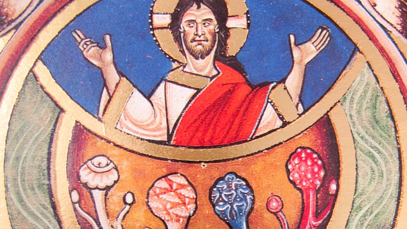 jezus met paddos -Forum