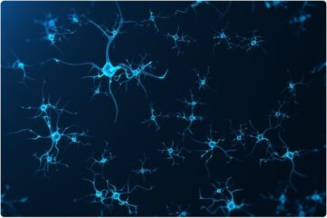 neurogenese -Forum