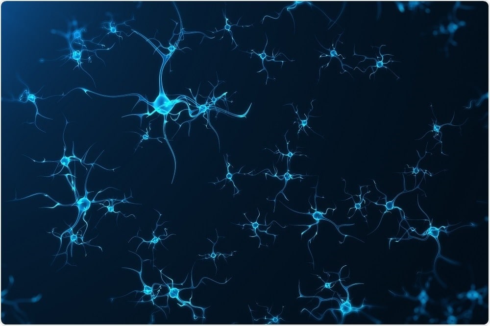 neurogenesis - Brain cells repair and make new connections with the help of magic mushrooms