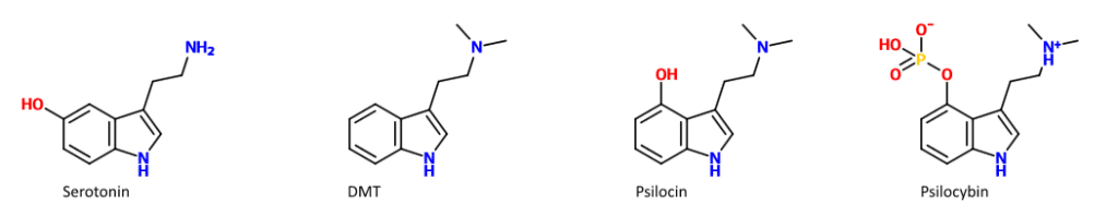Psilocybin dmt Serotonin – Psilohuasca, Ayahuasca oder Psilocybin?