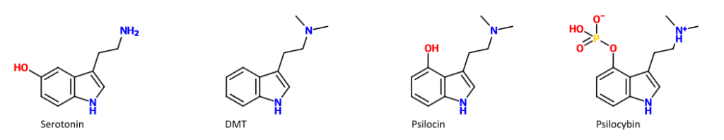 psilocybin dmt serotonin -Legal alternative Ayahuasca