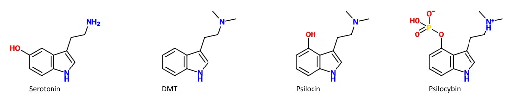 https://triptherapie.nl/wp-content/uploads/2019/01/psilocybine-dmt-serotonine.png.webp