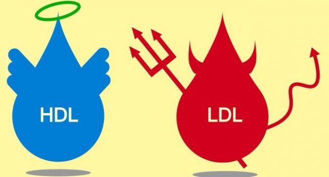 LDL -High LDL is not bad