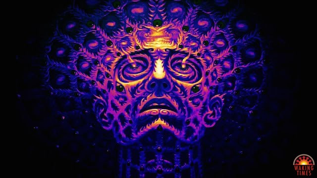 DMT trip -What one learns during a deep psychedelic trip