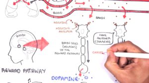 Roken en dopamine -Forum