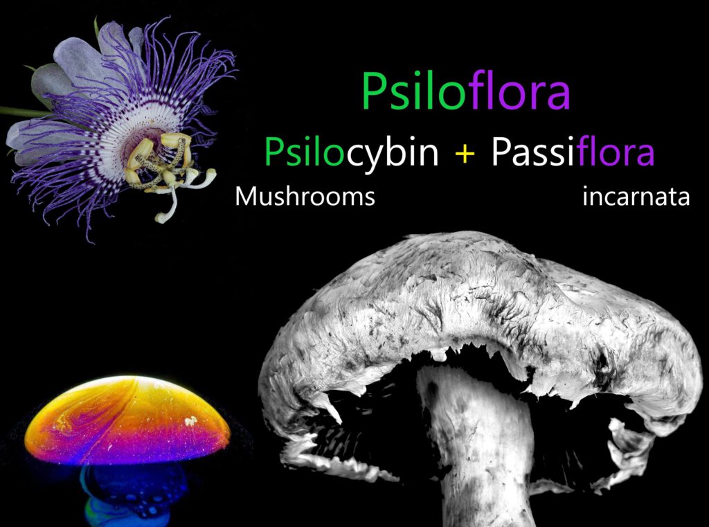 psiloflora -Ayahuasca, psilohuasca, psiloflora of truffel ceremonie?