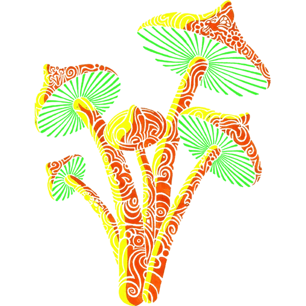 https://triptherapie.nl/wp-content/uploads/2020/04/mushroom.png.webp