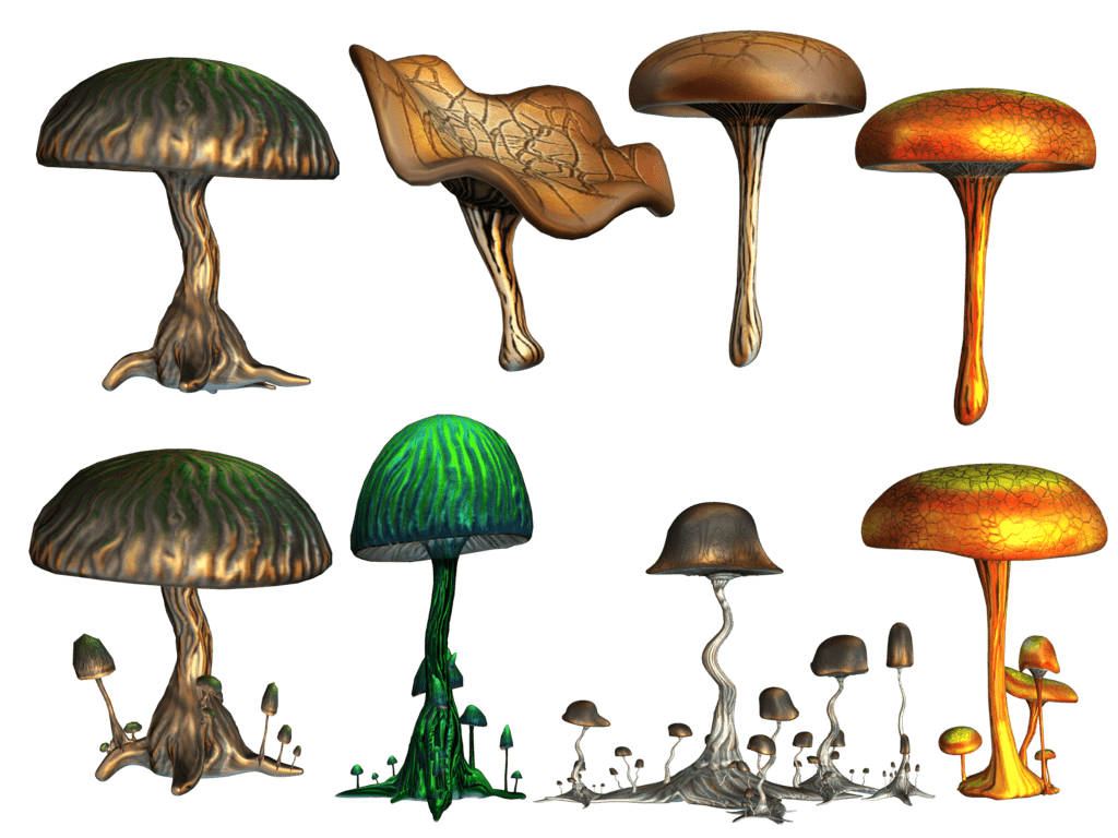 mushrooms -Psilohuasca ceremonie