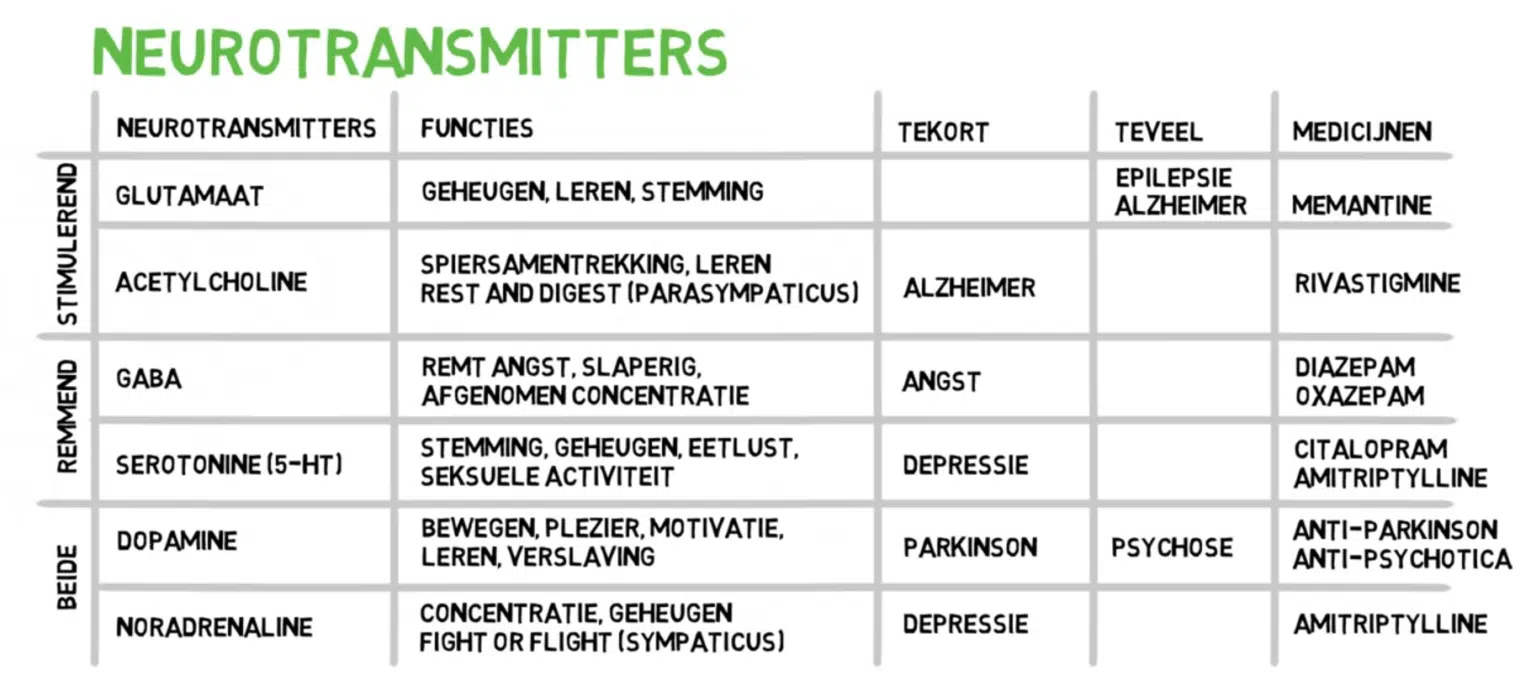 https://triptherapie.nl/wp-content/uploads/2020/05/neurotransmitters-overzicht-1536x697.png.webp