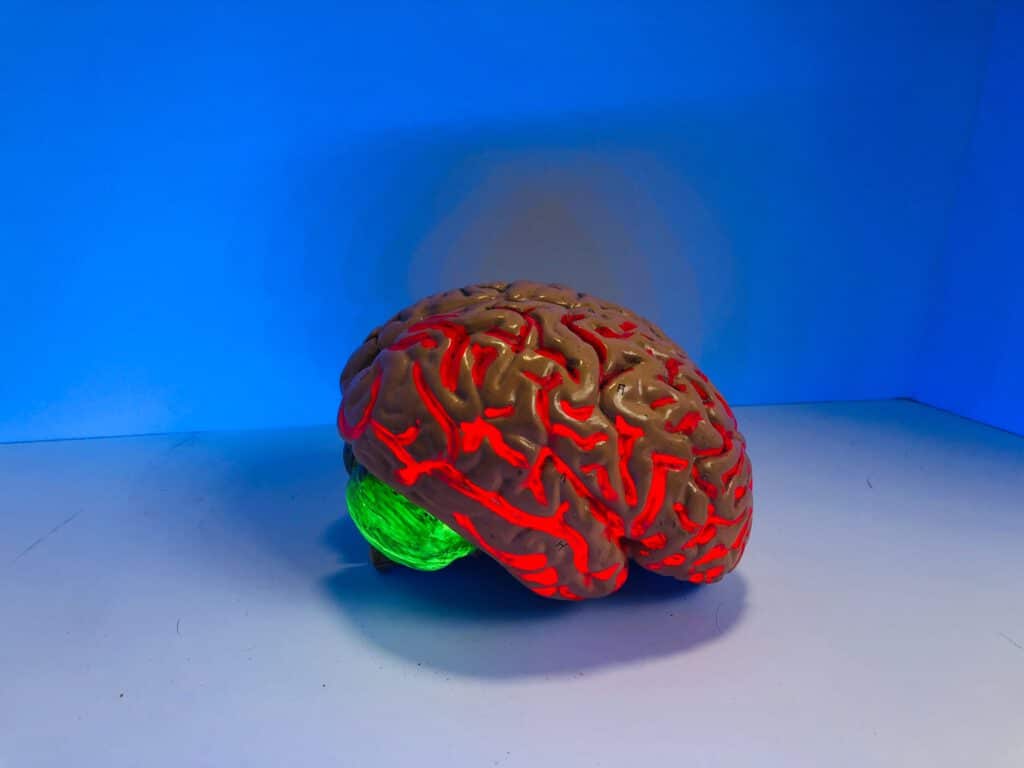 brain -Neurochemistry or psychology?