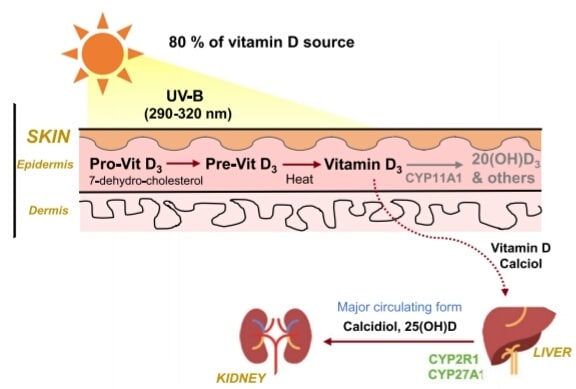 Sonnenlicht Vitamin D – Vitamin D gegen Depressionen und entzündliche Erkrankungen