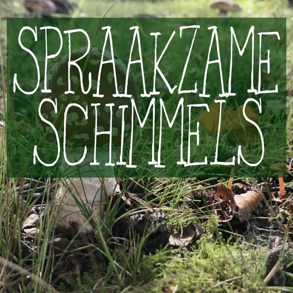 Talkative Schimmels -Nieuwe Revu: Tripping as therapy