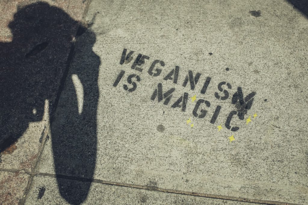 vegan -De depressieve veganist