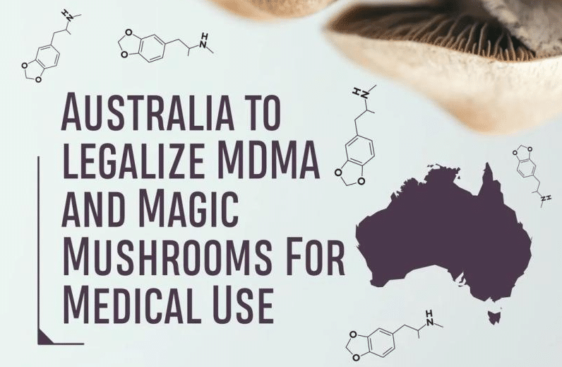 MDMA Psilocybin Australien – MDMA und Psilocybin werden in Australien als Drogen eingestuft