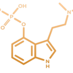 Psilocybin-Struktur