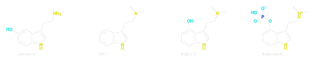 https://triptherapie.nl/wp-content/uploads/2023/11/DMT-psilocine-serotonine-1024x198.png.webp