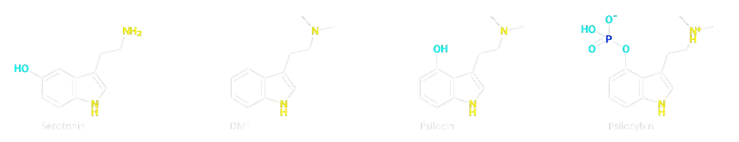 https://triptherapie.nl/wp-content/uploads/2023/11/DMT-psilocine-serotonine.png.webp