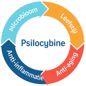 How psilocybin affects gut microbes psilocybin efffect Physical effects of psilocybin
