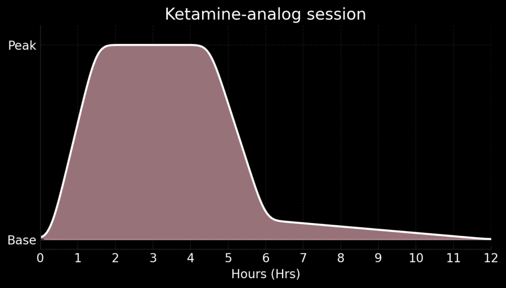 le déroulement de la séance de kétamine avec analogue - diagramme