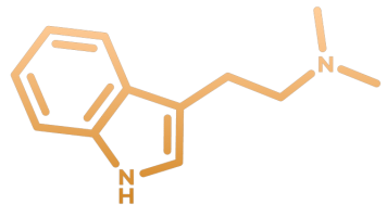 DMT molecule (ayahuasca)