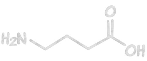 GABA molecule1