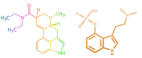 https://triptherapie.nl/wp-content/uploads/elementor/thumbs/LSD-en-psilocybine-q7yf0fqphposmkwc53lof2cajucdfpun9m21moczr4.png