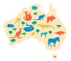 australia psilocybin mdma