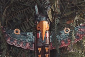 Ayahuasca ceremonie