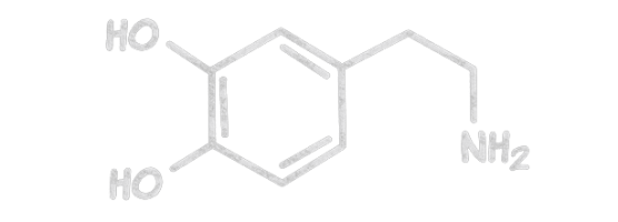 Dopamin-Molekül