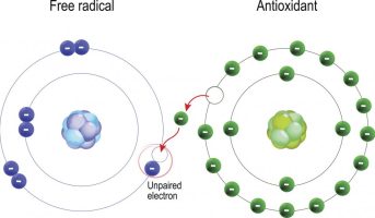 free radicals