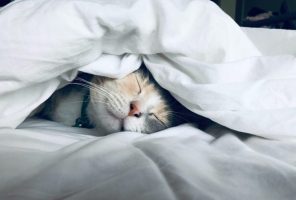 dormir